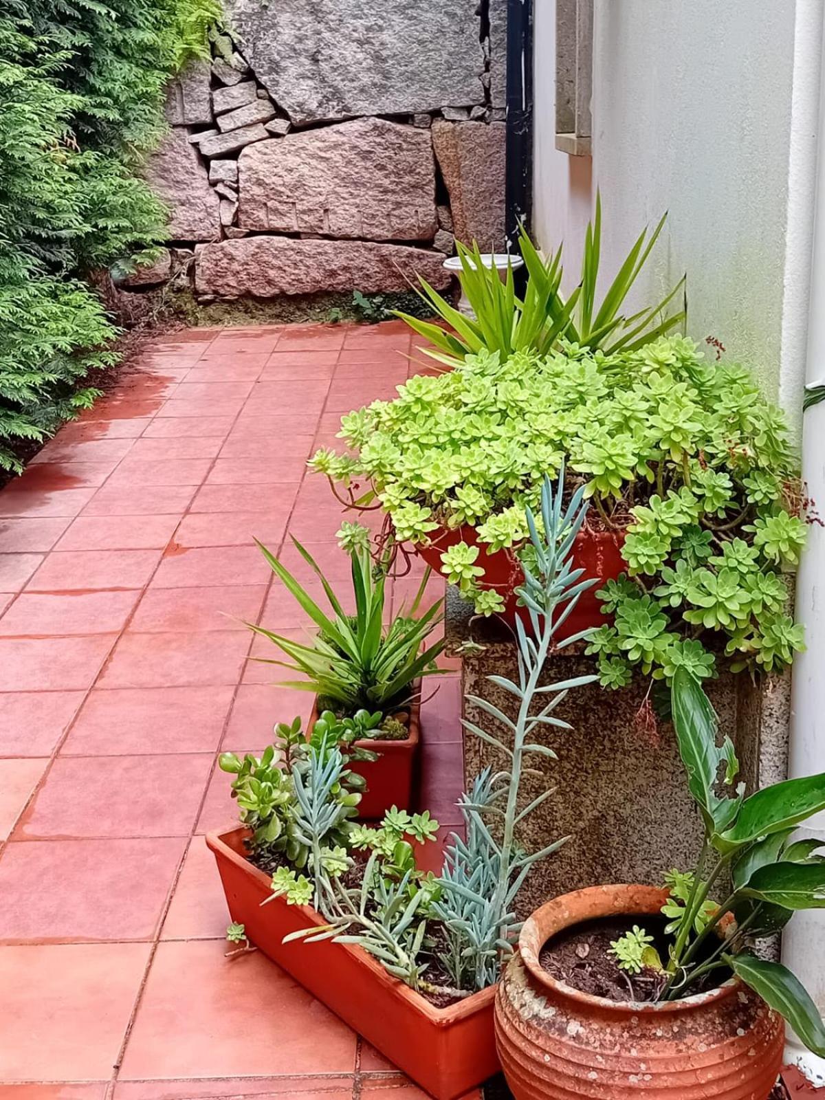 Vivienda Con Jardin Terraza Y Barbacoa Villa Picona Luaran gambar